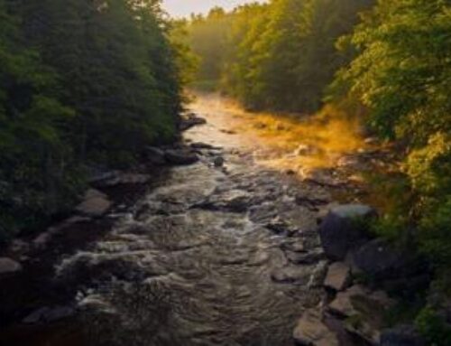 Leave No Trace Program Teaches Raleigh County Fifth-Graders Environmental Responsibility
