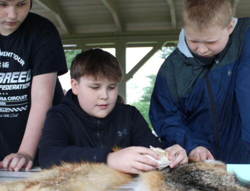 Middle schoolers tackle environmental challenges