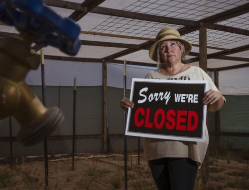 A new fear for cannabis growers: Water rules drying up their dreams