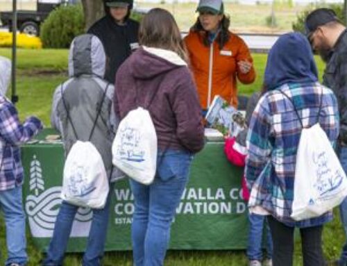 Learning lessons about conservation, the environment