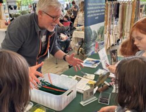 Festival teaches about the environment