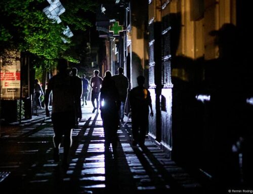 What does the recent blackout tell us about renewables?