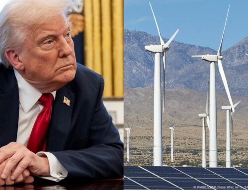 Trump tariffs: What’s the impact on renewables?
