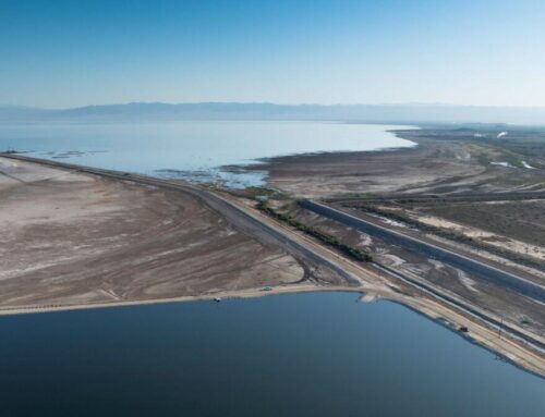 California turns on water to create new wetlands on the shore of the shrinking Salton Sea
