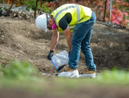 Researchers call on Newsom to pay for post-fire soil testing in Los Angeles County