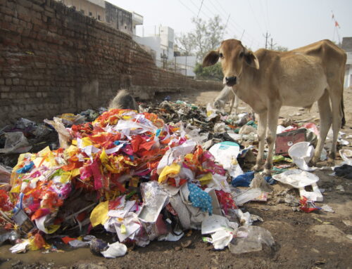 World Environment Day 2025: Tackling the Global Plastic Crisis to Regenerate Our Food Syst