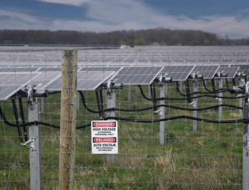 DNR halts state land leases for utility-scale solar projects