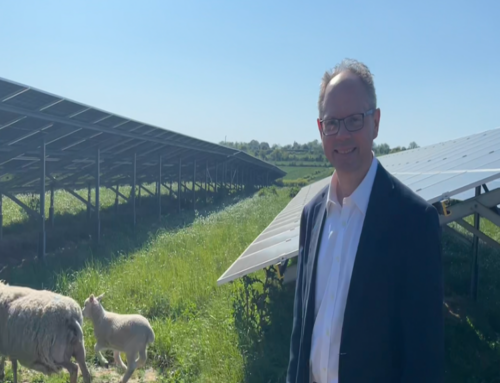Jersey’s first solar panel farm switched on to power homes