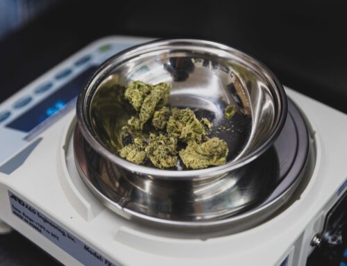 Renville County adopts cannabis ordinance allowing only two retail outlets