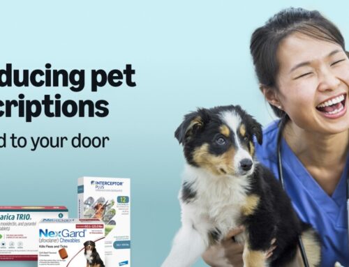 How Amazon is making it easier for customers to get prescription medications for their pet