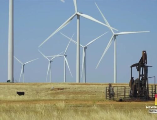 Black Hills Environmental Coalition seeks to bring together environmental groups