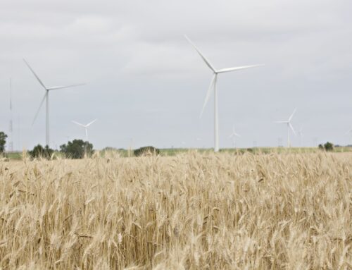 Froma Harrop: Red states make money off green energy