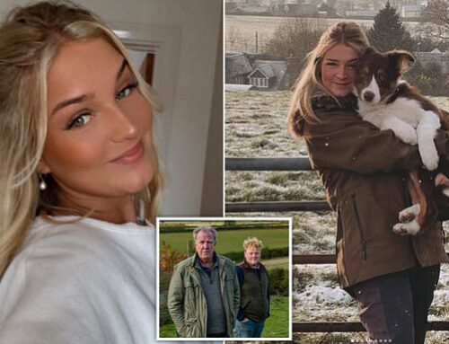 Clarkson Farm’s stunning new farmhand REVEALED