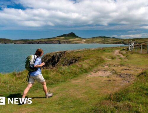 Natural Resources Wales: Fears watchdog lacks cash to do its job