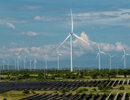 Q&A: How Southeast Asia can seize the renewable energy opportunity