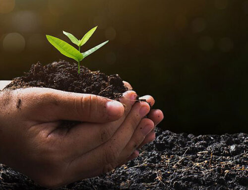 Europe ‘lagging’ behind on human rights by not recognising right to healthy environment, e