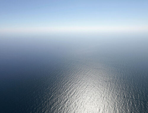 France pushes for action as high seas treaty hangs in the balance