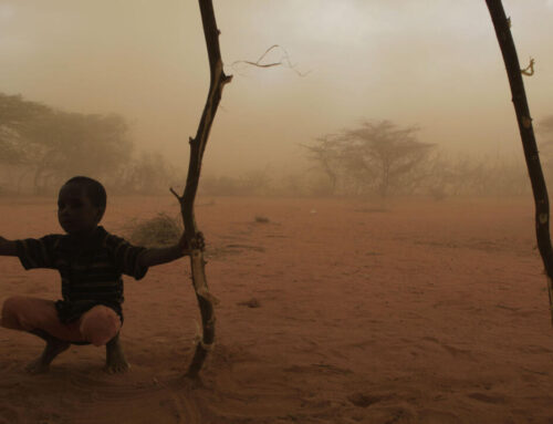 Africans less likely to blame rich nations for climate crisis, survey shows