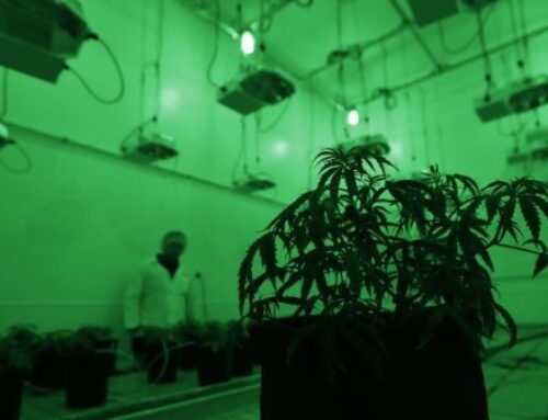 Why is medical cannabis still unavailable in Kentucky?