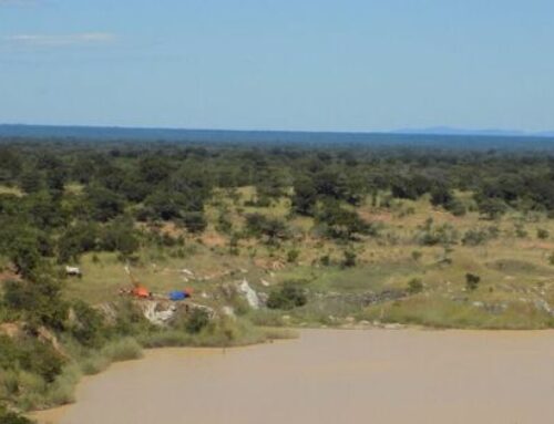 Motherhood statements and no details as AVZ reportedly sells Manono stake