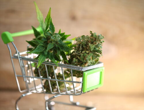 Record-Breaking Sales in D.C.’s Medical Cannabis Sector Mask Potential Challenges for Indi