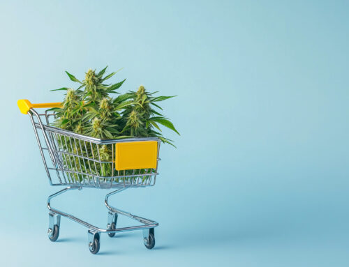 Record patient growth sparks D.C. medical cannabis sales recovery