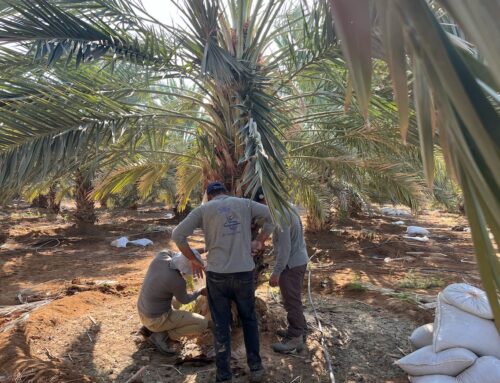 In-depth: Investing to support refugees and their host communities
