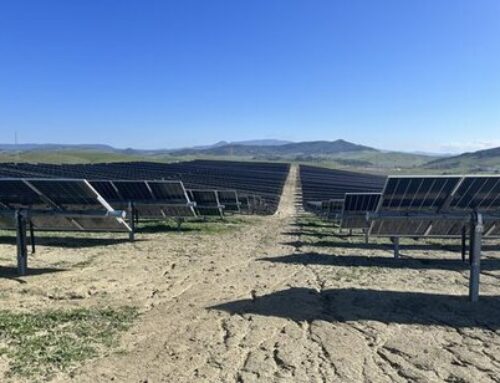 Power Factors and BNZ sign long-term strategic partnership