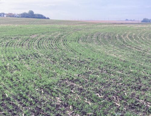 USDA to restore deleted climate pages after environmental lawsuit