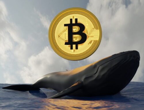 Decade-Old Bitcoin Whale Emerges, Transfers $207.51 Million BTC With Nearly 112,000% Profi