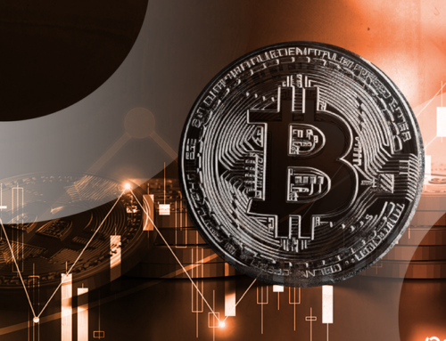Bitcoin Is Roaring and Analysts Say Altcoins Could be Next