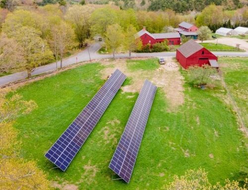 Blasty Bough Brewing installs solar array, expects $23K in yearly savings