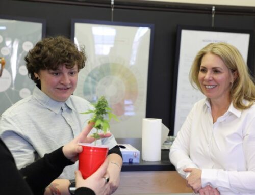 Pennsylvania Institute of Technology expands cannabis business studies