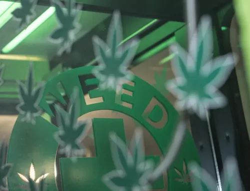 70% surveyed favor casino cannabis lounges
