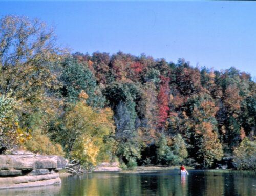 New Arkansas environmental laws address waste application, Buffalo wastershed