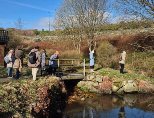 Nature-based solutions increase nature and human wellbeing