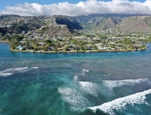 Progress Report: Bolder Action Needed To Protect Hawaiʻi’s Environment