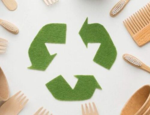 Are Eco-Friendly Products Better for the Planet? — Environmental Protection
