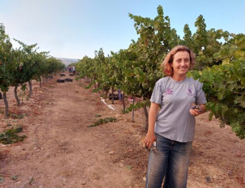 A Shavuot Reflection on Judaism, Zionism and the Environment