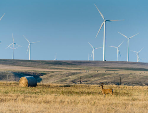Property Rights Take Center Stage as Montana Grapples With Wind Development