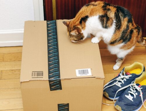 Amazon Partners With Pet Pharmacy Vetsource to Sell Pet Medications
