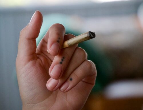 Mundelein home to latest example of evolving cannabis industry; ‘If moms are using it, it’