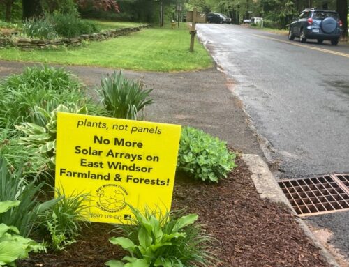 Petition signatures against massive solar array in rural CT town top 1,100