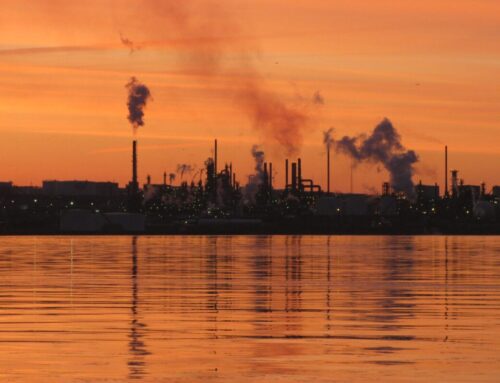 As renewable diesel surges, sustainability claims are deeply questioned