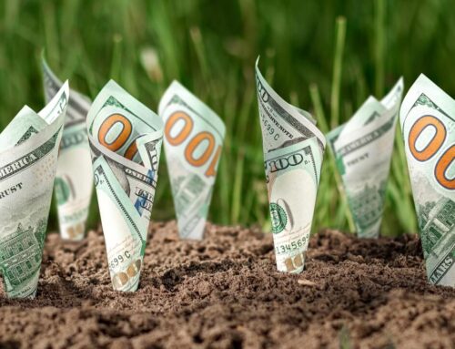 California tax agency confirms it will raise cannabis excise rate to 19%