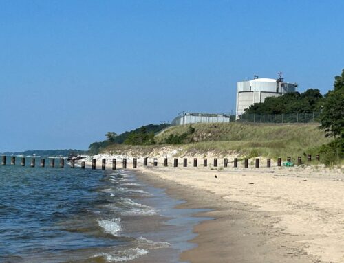 US approves environmental review for Michigan nuclear plant restart