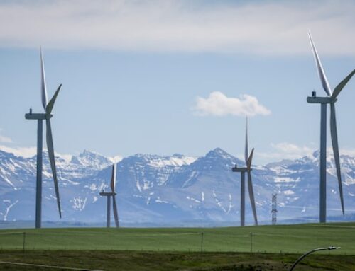 Under Trump, clean energy stocks are outperforming