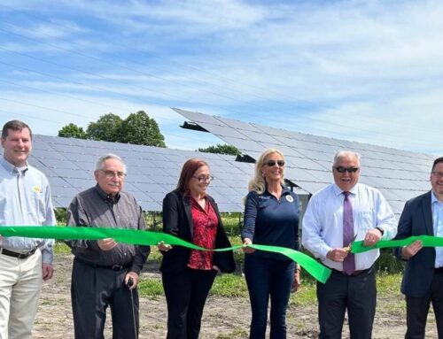 Solar energy site goes live in Oglesby this week