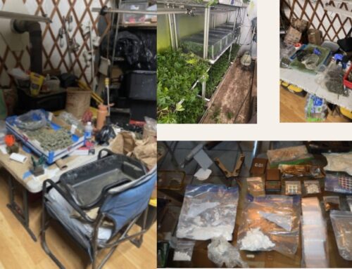 Redway Cannabis Raid Sparks Labor Trafficking Investigation
