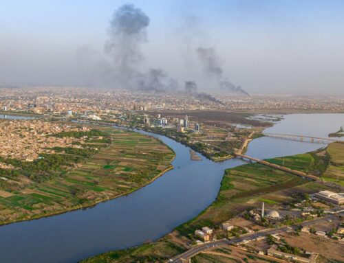 The environmental costs of the war in Sudan